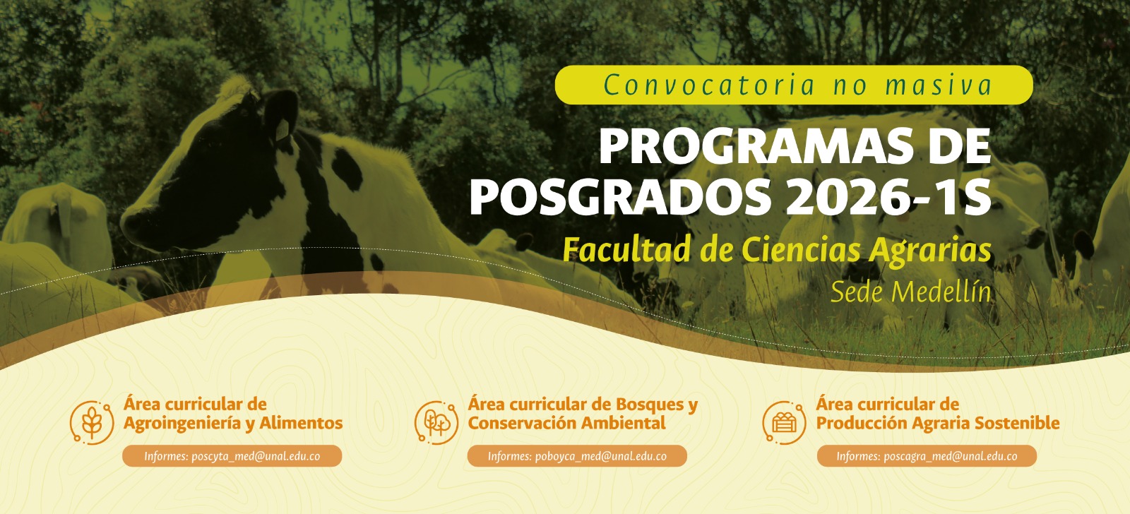 160822 CONVOCATORIA POSGRADOS 2025 2S WEBSITE